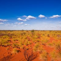 A sunburnt country