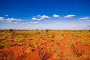 A sunburnt country