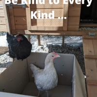Be kind to every kind
