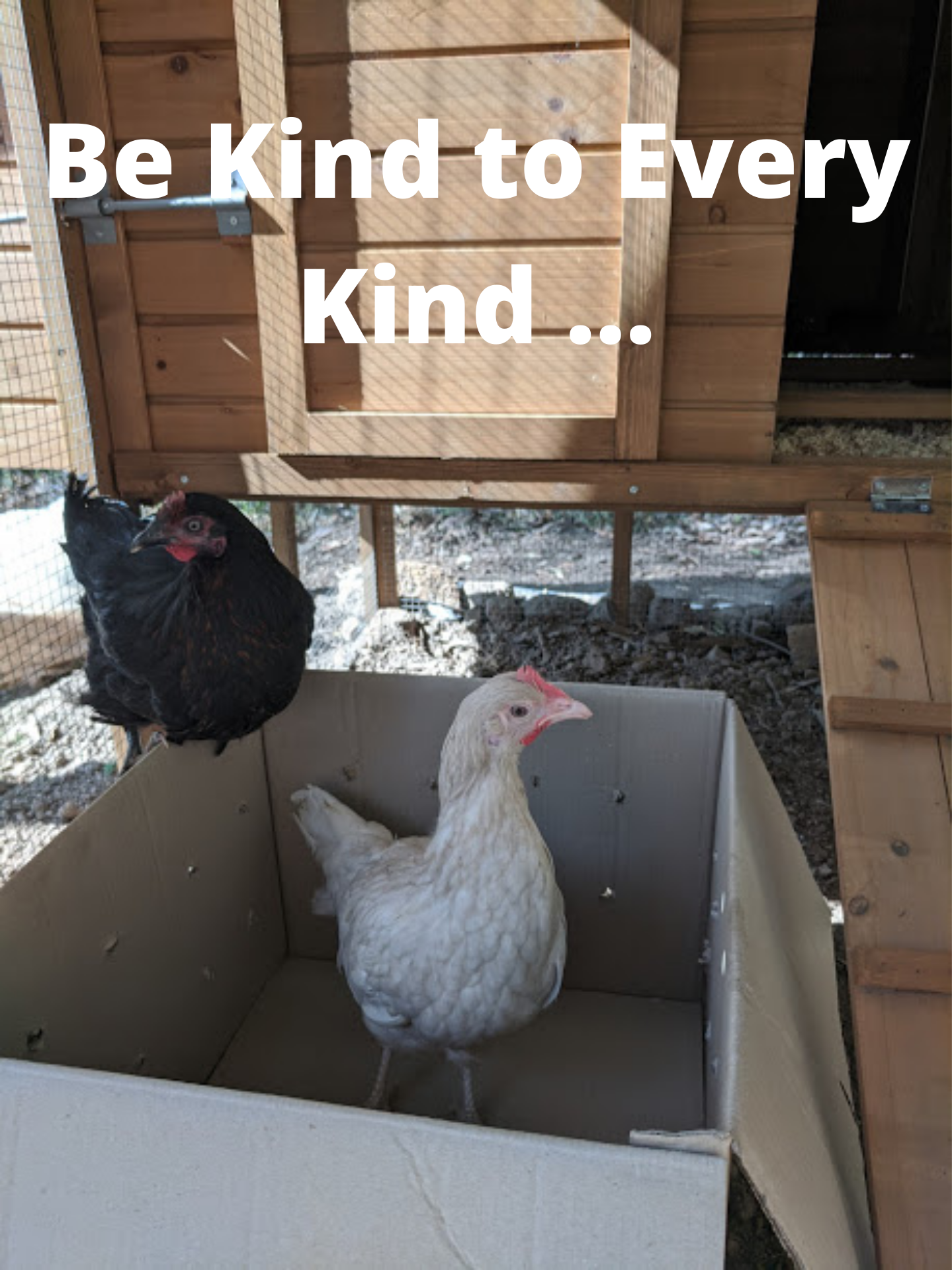 Be kind to every kind